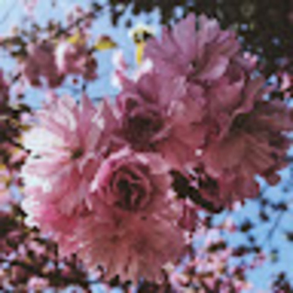 Meet your Posher, Katherine